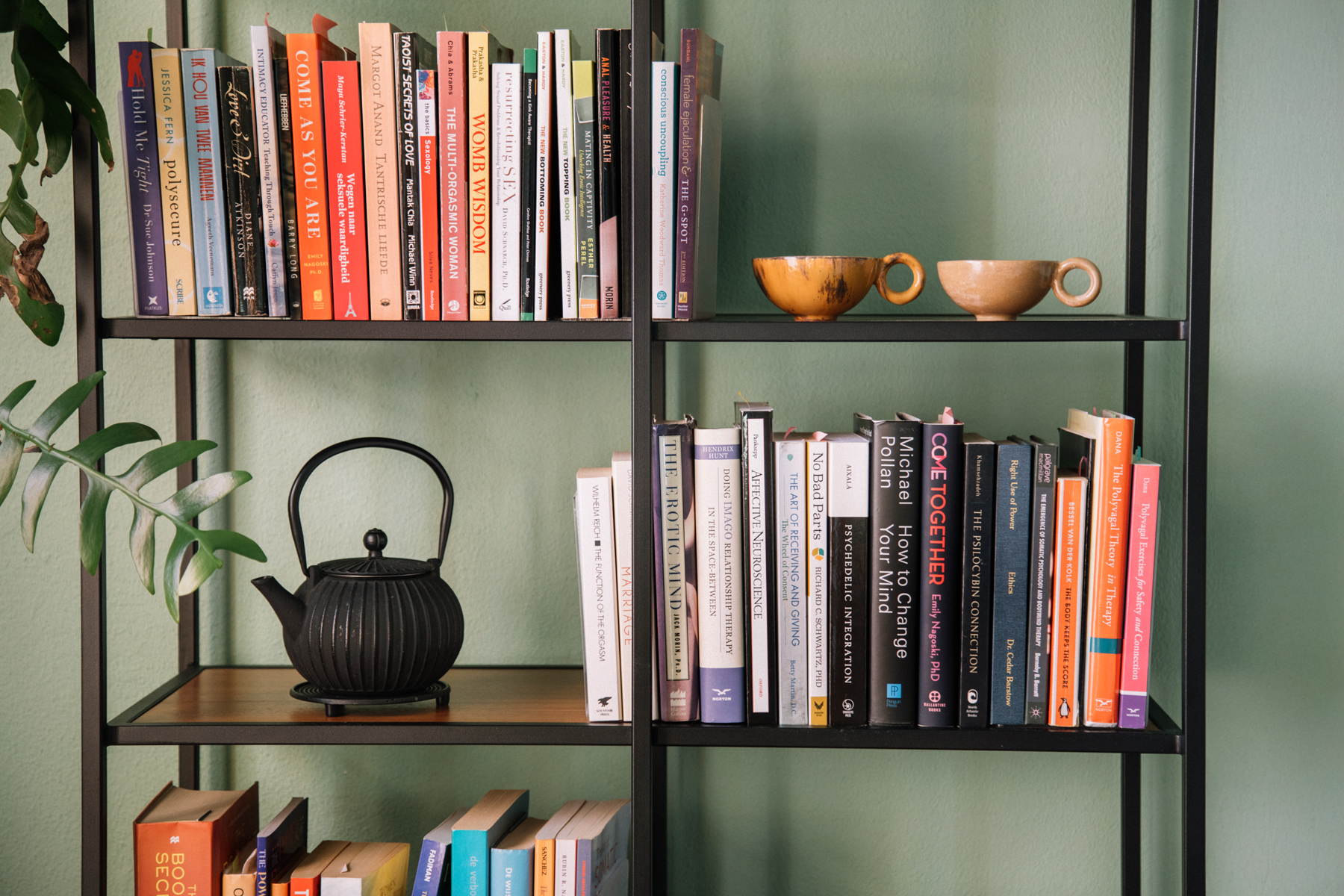 Boekenkast met theeservies en planten in de praktijkruimte